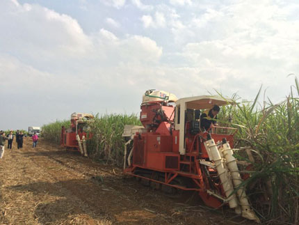广东科利亚切段式甘蔗联合收割机通过工信部科技成果鉴定